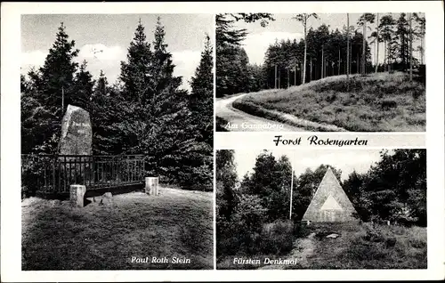 Ak Rosengarten im Kreis Harburg, Paul Roth Stein, Fürsten Denkmal