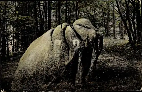 Ak Hamburg Harburg, Karlstein im Rosengarten, Laubbäume