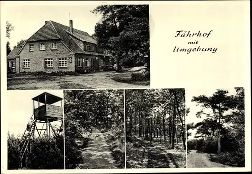 Ak Hellwege Sottrum Niedersachsen, Fährhof, Waldpartie, Jägerturm