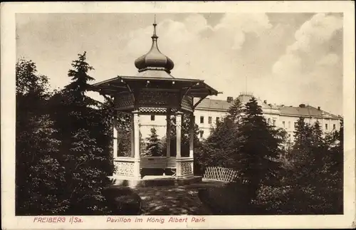 Ak Freiberg in Sachsen, Pavillon im König Albert Park