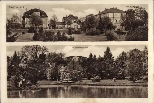 Ak Bad Lausick in Sachsen, Schwanenteich, Partie am Kurpark