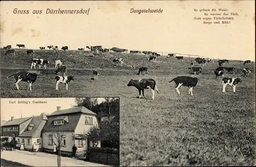 Ak Dürrhennersdorf in der Oberlausitz, Gasthaus von Carl Röthig, Jungviehweide