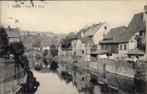 Ak Döbeln in Sachsen, Muldepartie