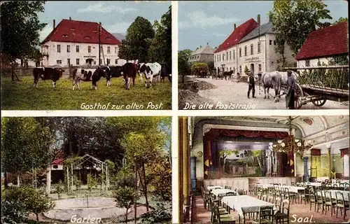 Ak Stauchitz in Sachsen, Gasthof zur alten Post, Rinder, Poststraße, Innenansicht