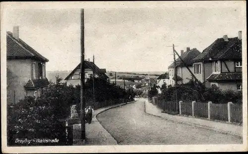 Ak Droyßig im Burgenlandkreis, Waldstraße