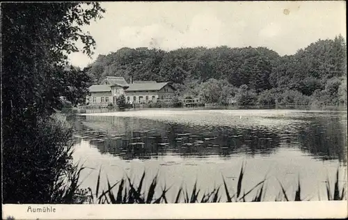 Ak Aumühle im Herzogtum Lauenburg, Blick über Gewässer zu einem Haus