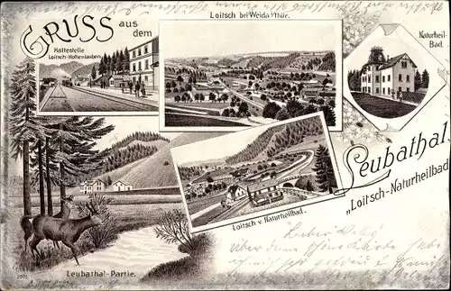 Litho Loitsch Weida in Thüringen, Leubathal, Naturheilbad, Haltestelle Hohenlauben, Panorama