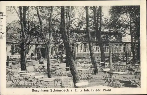 Ak Schönebeck an der Elbe, Gasthaus Buschhaus