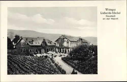 Ak Neustadt an der Weinstraße, Weingut Lieberich Merkel, Haardter Straße 4, Weinberg