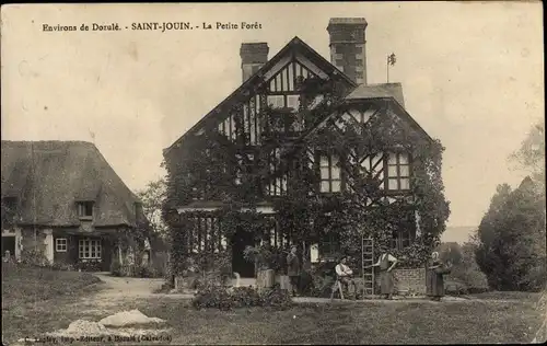 Ak Saint Jouin Calvados, La Petite Foret