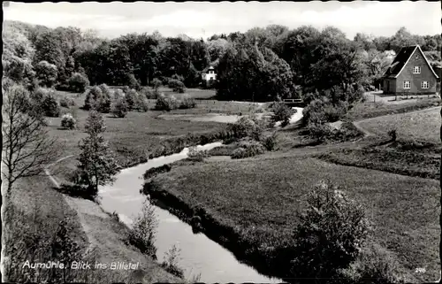 Ak Aumühle Schleswig Holstein, Blick ins Billetal