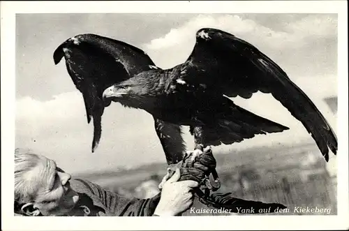 Ak Ehestorf Rosengarten, Peters Höh zum Kiekeberg, Kaiseradler Yank