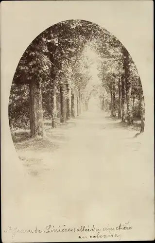 Foto Ak Saint Jean de Linieres Maine et Loire, Blick in die Allee