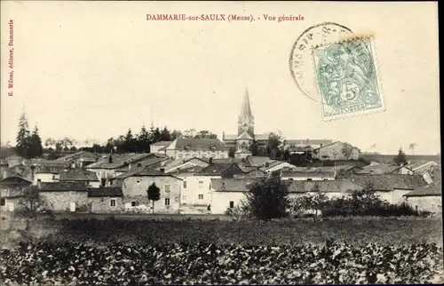 Ak Dammarie sur Saulx Meuse, Vue generale