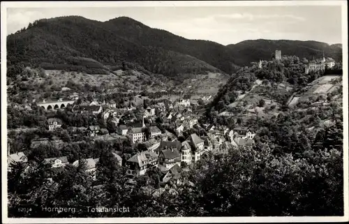 Ak Hornberg im Schwarzwald, Totalansicht