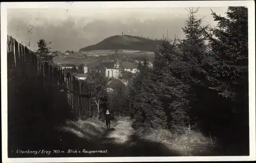 Ak Altenberg im Erzgebirge, Blick vom Raupennest