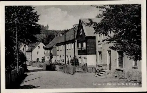 Ak Bienenmühle Erzgebirge, Ortspartie