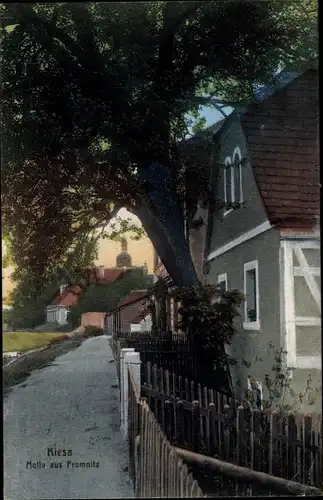 Ak Promnitz Riesa an der Elbe Sachsen, Haus mit Garten