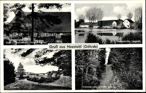 Ak Neestahl Nahrendorf in Niedersachsen, Gasthaus Waldschlösschen, Wassermühle, Waldweg