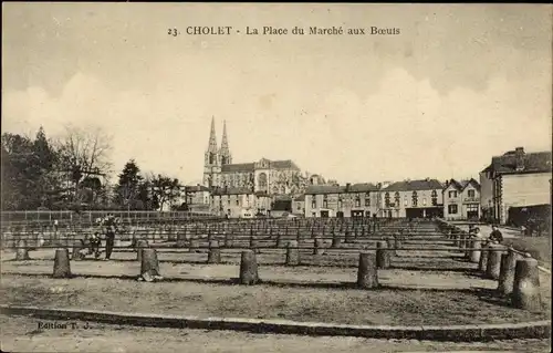 Ak Cholet Maine et Loire, La Place du Marche aux Boeufs