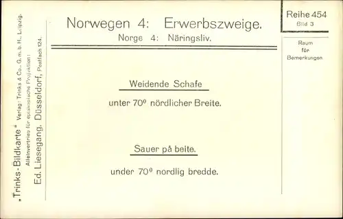 Ak Norwegen, Erwerbszweige, Närlingsliv, weidende Schafe