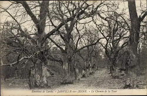 Ak Janville sur Juine Essonne, Le Chemin de la Tour