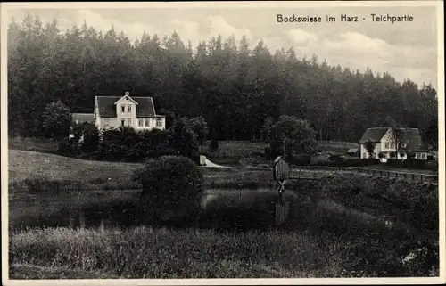 Ak Hahnenklee Bockswiese Goslar im Harz, Teichpartie, Nr. 61002