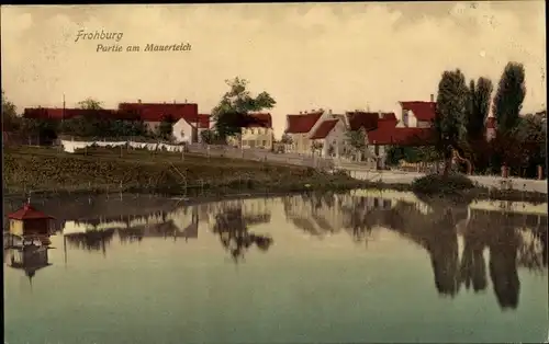 Ak Frohburg in Sachsen, Mauerteich