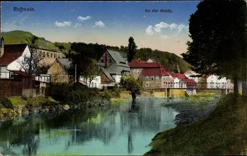 Ak Roßwein in Sachsen, An der Mulde