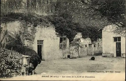 Ak Baugé Maine et Loire, Les caves de la foret de la Chandelais