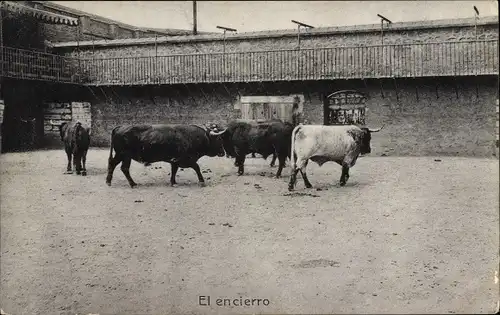 Ak Stierkampf, Corrida de Toros, El Encierro