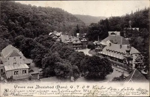 Ak Alexisbad Harzgerode am Harz, Kurhäuser, Vogelschau, Wald