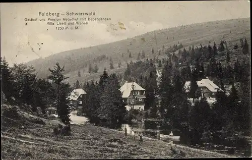 Ak Feldberg im Schwarzwald, Gasthof und Pension Hebelhof mit Dependancen Villa Liseli u. Vreneli