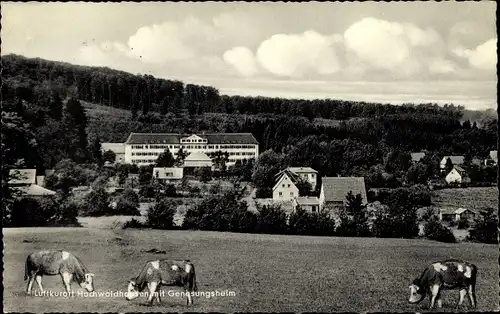 Ak Ilbeshausen Hochwaldhausen Grebenhain Hessen, Blick zum Genesungsheim, Kühe weiden