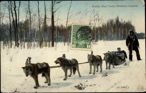 Ak Kanada, Western Canada, Husky Dog Team, Schlittenhunde