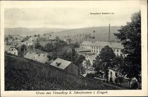 Ak Venusberg Drebach im Erzgebirge, Teilansicht mit Strumpffabrik Breitfeld & Co.