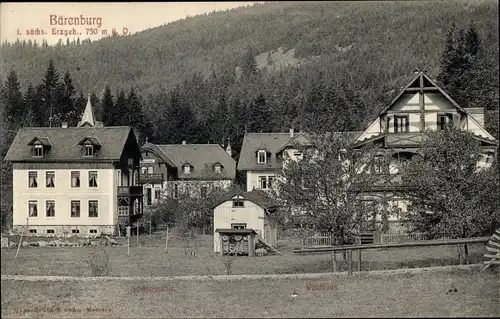 Ak Bärenburg Altenberg im Erzgebirge, Ortsansicht