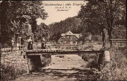 Ak Oberbärenburg Altenberg im Erzgebirge, Waldwiese