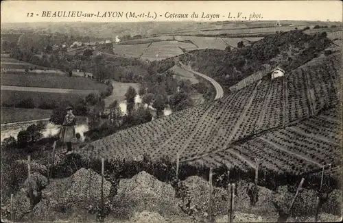 Ak Beaulieu sur Layon Maine-et-Loire, Coteaux du Layon