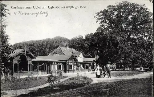 Ak Eutin in Ostholstein, Gasthaus zum Uglei am Ugleisee, Eiche