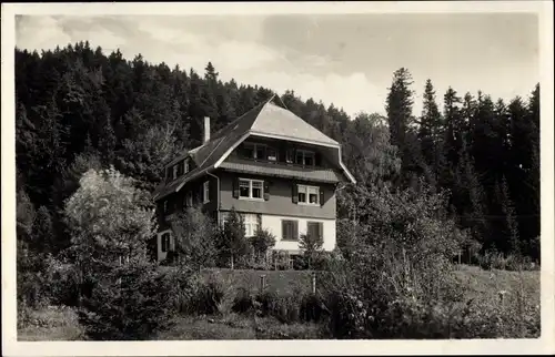 Ak Hinterzarten im Schwarzwald, Pension Quickborn