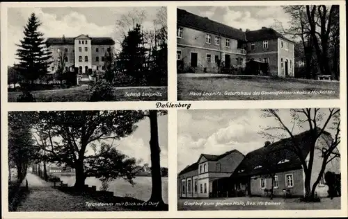 Ak Dahlenberg Trossin in der Dübener Heide, Haus Leipnitz, Schloss, Gasthof zum grünen Hain