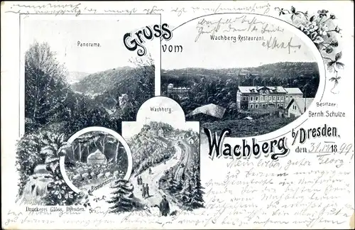 Litho Dresden Wachwitz, Wachberg Gasthof, Bismarckstein
