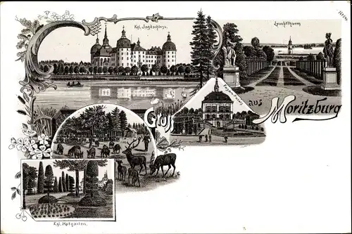 Litho Moritzburg in Sachsen, Königliches Jagdschloss, Leuchtturm, Hofgarten, Fasan Palais, Hirsche