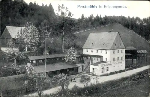 Ak Krippen Bad Schandau Sächsische Schweiz, Forstmühle im Krippengrund