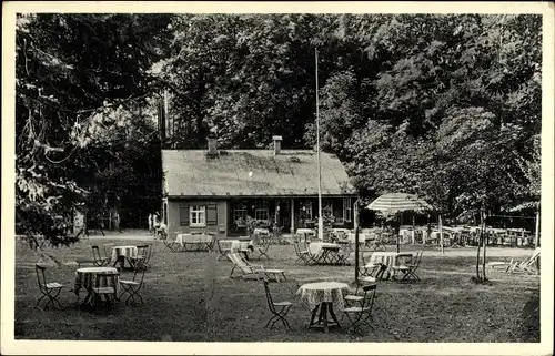 Ak Stadt Wehlen an der Elbe Sachsen, Waldschänke Steinerner Tisch