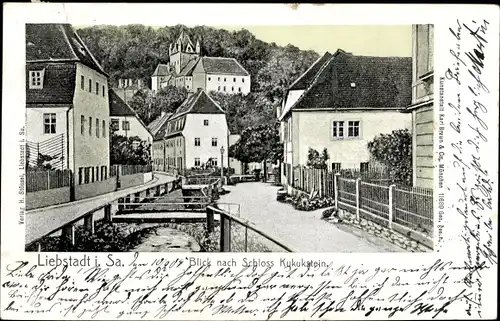 Ak Liebstadt Erzgebirge Sachsen, Blick nach Schloss Kuckuckstein