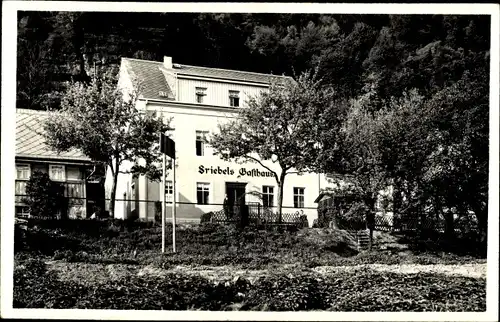 Foto Ak Postelwitz Bad Schandau, Blick auf Friebels Gasthaus