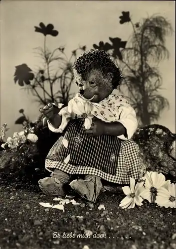 Ak Mecki der Igel, Igelfrau, Er liebt mich doch