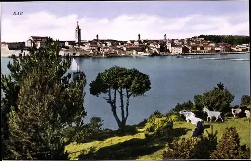 Ak Rab Kroatien, Blick auf die Stadt, Küstenpartie mit Ziegenherde